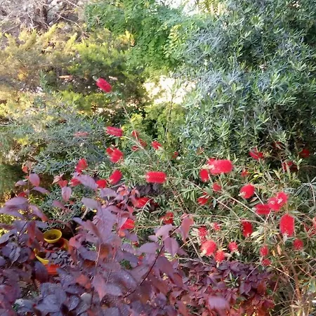 Semesterbostad Primavera *