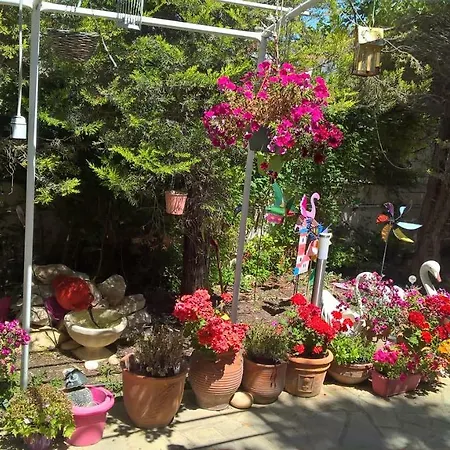 Primavera Semesterbostad